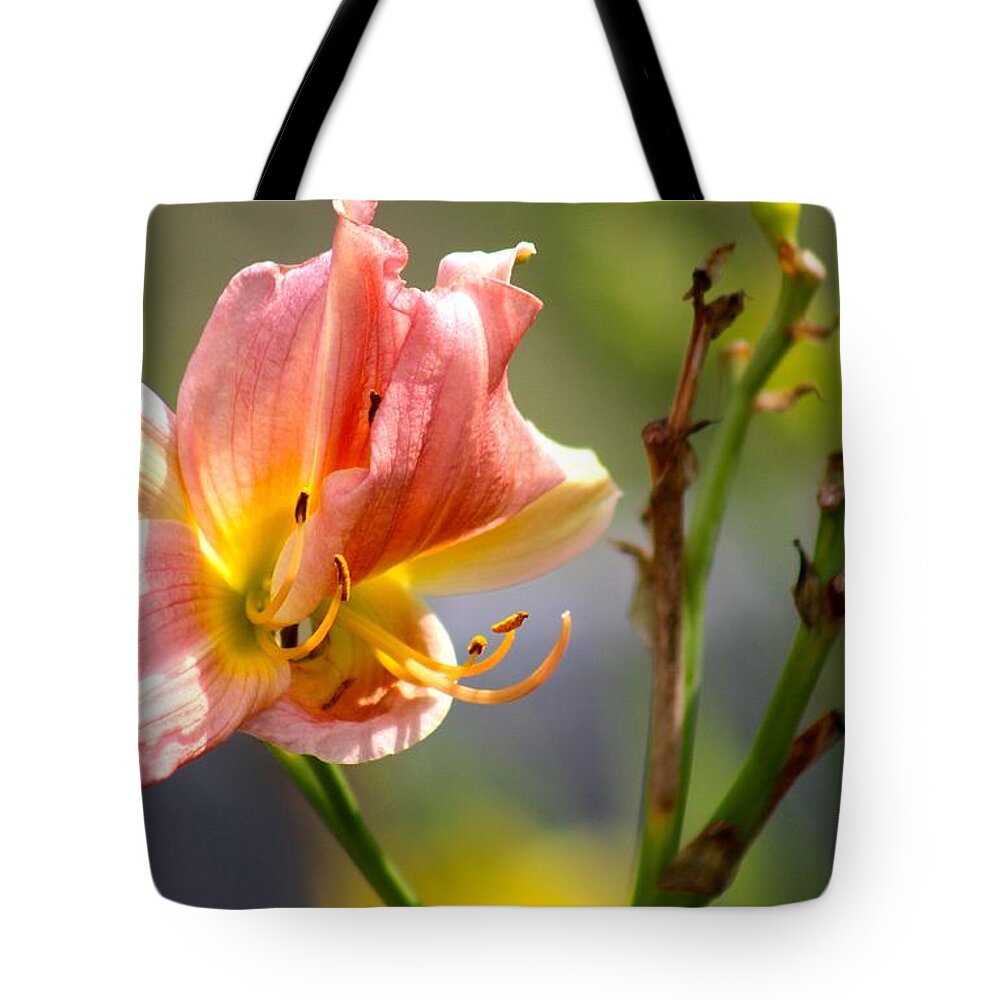 Pink Tote Bag featuring the photograph Nature's Beauty 124 by Deena Withycombe