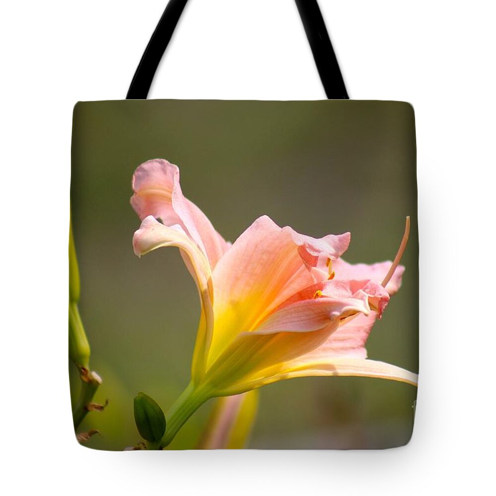 Pink Tote Bag featuring the photograph Nature's Beauty 125 by Deena Withycombe
