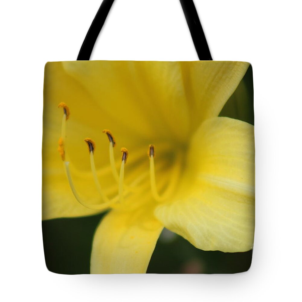 Yellow Tote Bag featuring the photograph Nature's Beauty 38 by Deena Withycombe