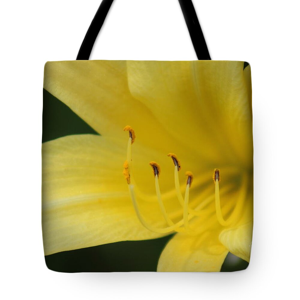 Yellow Tote Bag featuring the photograph Nature's Beauty 39 by Deena Withycombe
