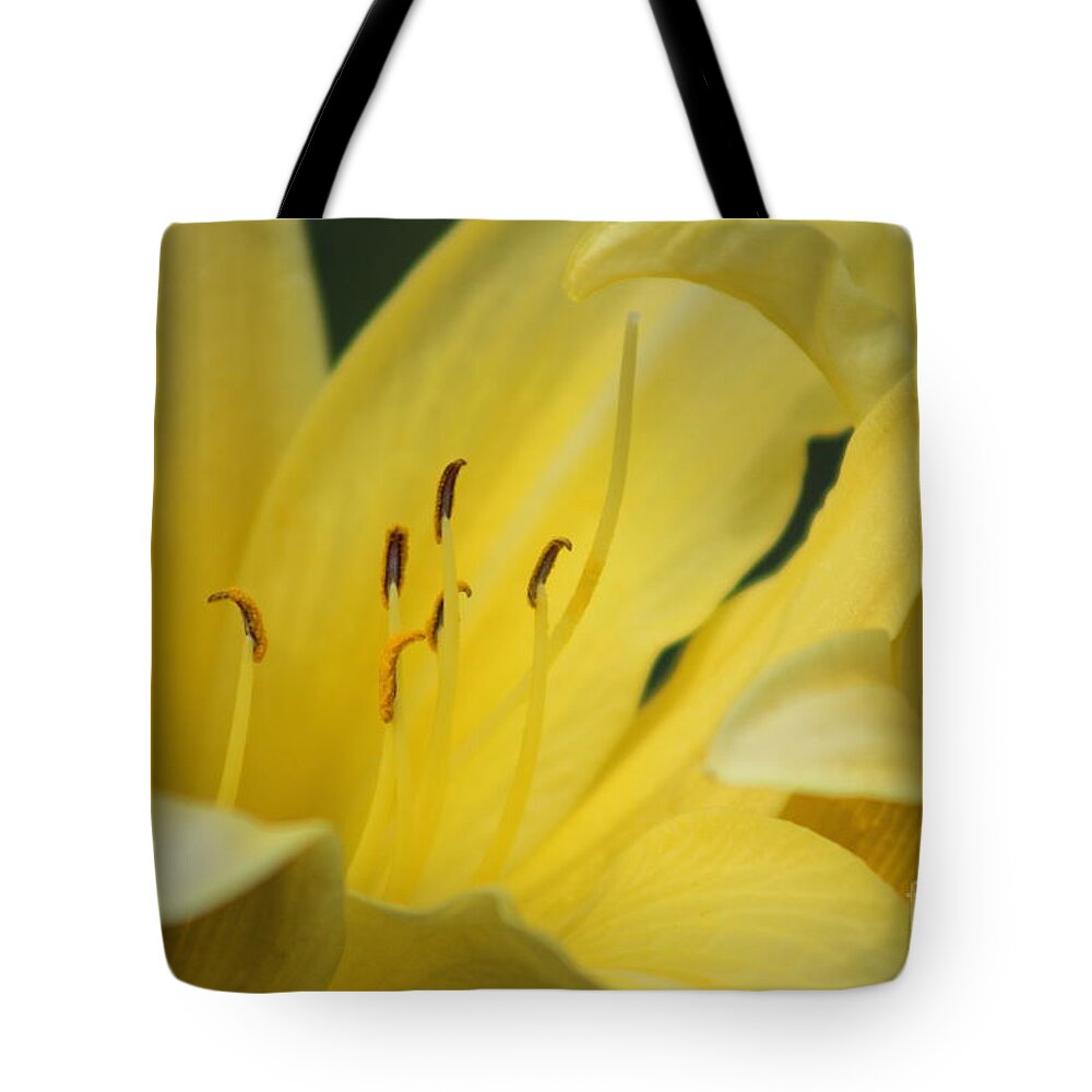 Yellow Tote Bag featuring the photograph Nature's Beauty 40 by Deena Withycombe