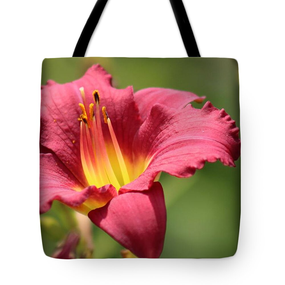 Yellow Tote Bag featuring the photograph Nature's Beauty 41 by Deena Withycombe