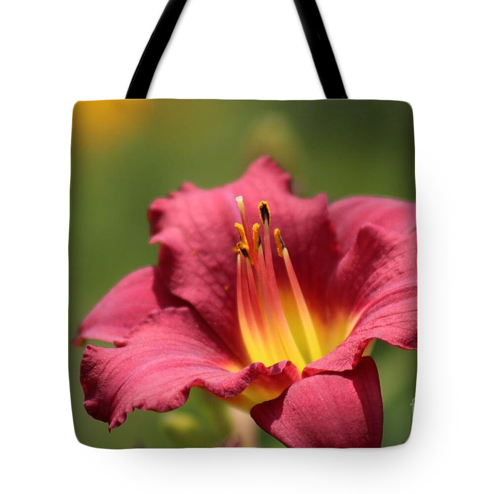 Yellow Tote Bag featuring the photograph Nature's Beauty 42 by Deena Withycombe