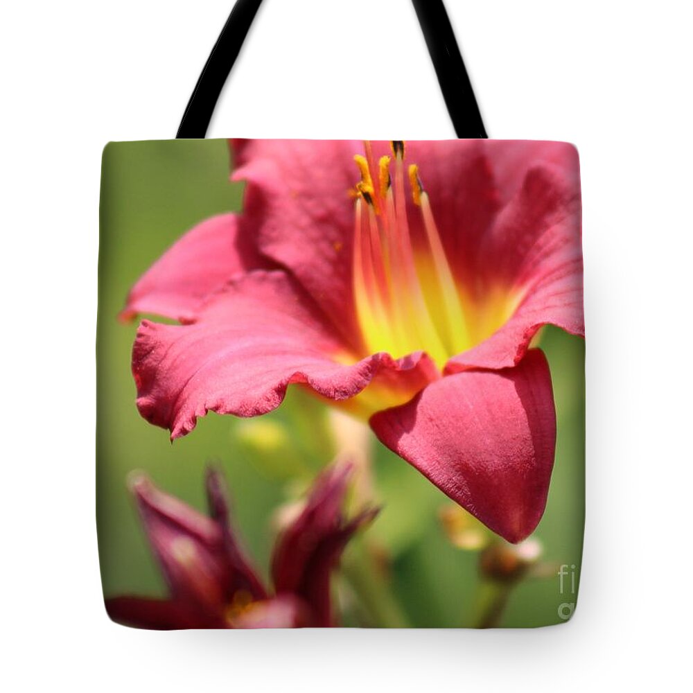 Yellow Tote Bag featuring the photograph Nature's Beauty 44 by Deena Withycombe