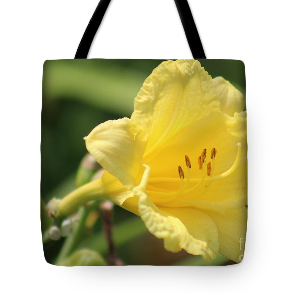 Yellow Tote Bag featuring the photograph Nature's Beauty 46 by Deena Withycombe