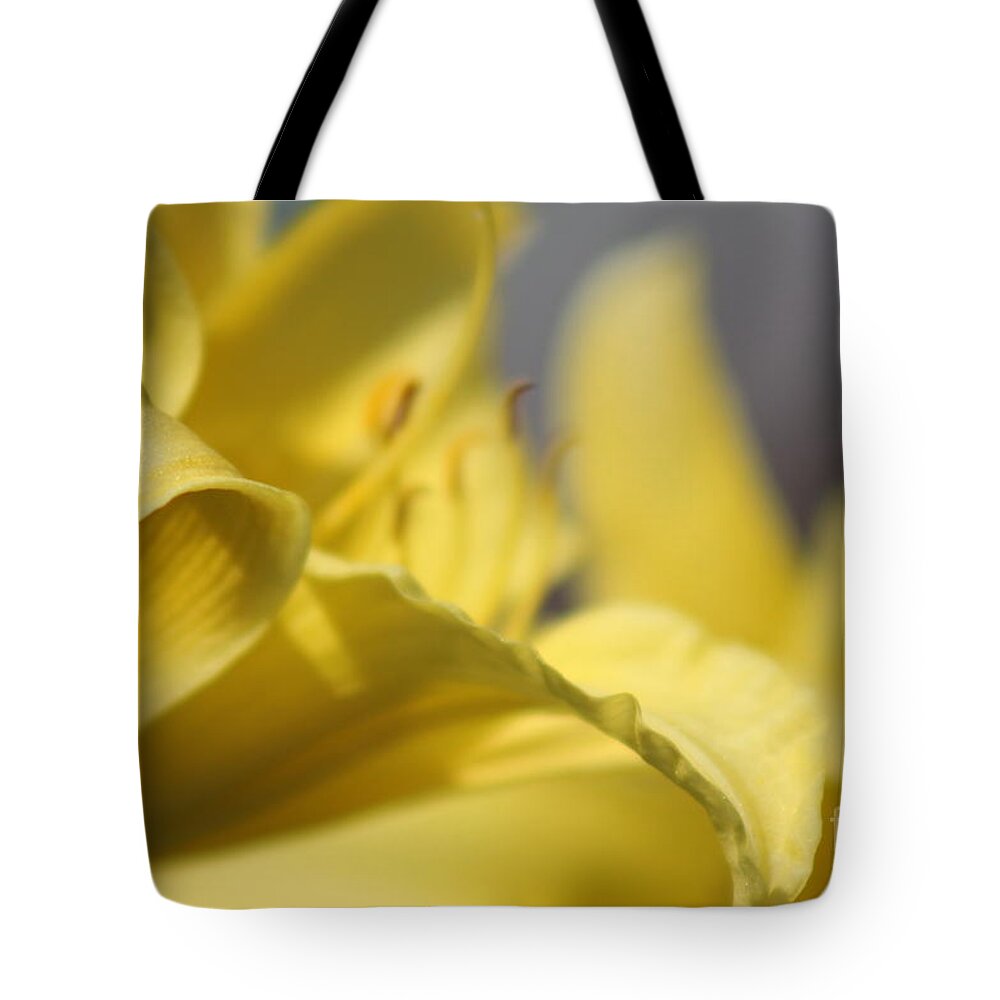 Yellow Tote Bag featuring the photograph Nature's Beauty 48 by Deena Withycombe