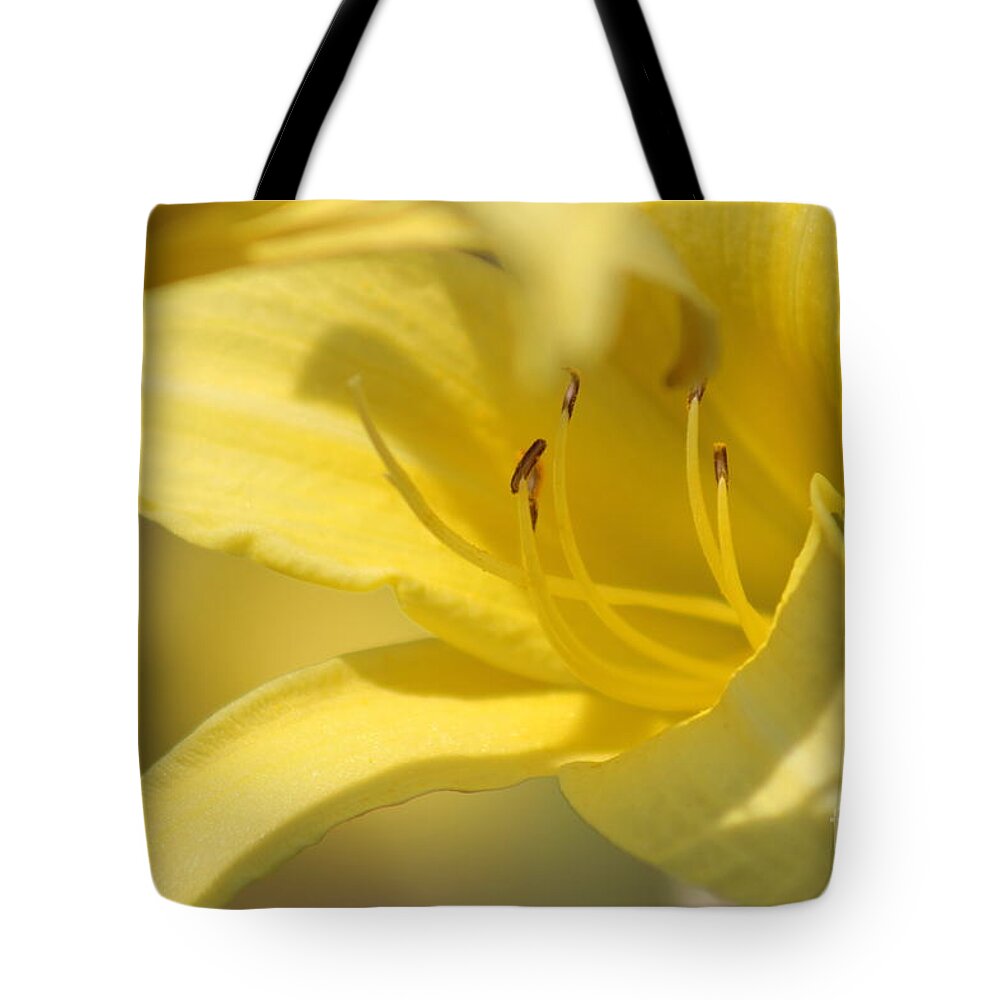 Yellow Tote Bag featuring the photograph Nature's Beauty 49 by Deena Withycombe