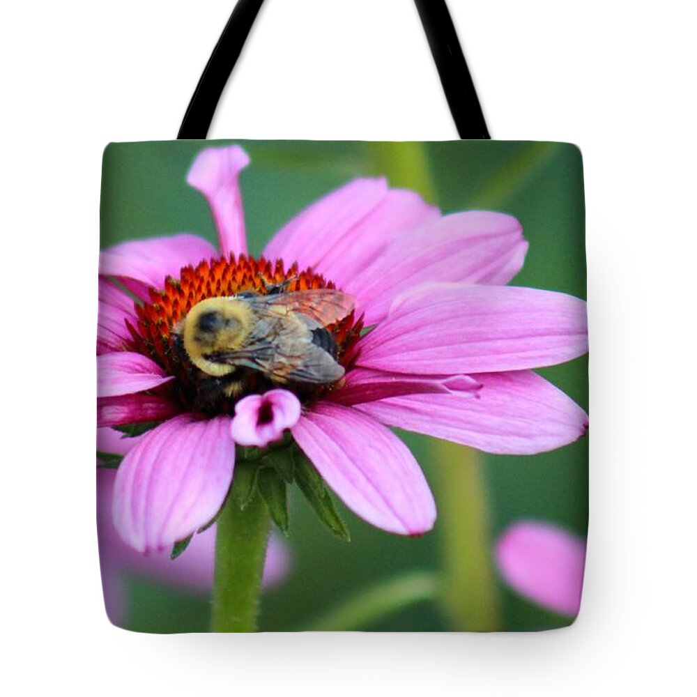 Pink Tote Bag featuring the photograph Nature's Beauty 70 by Deena Withycombe