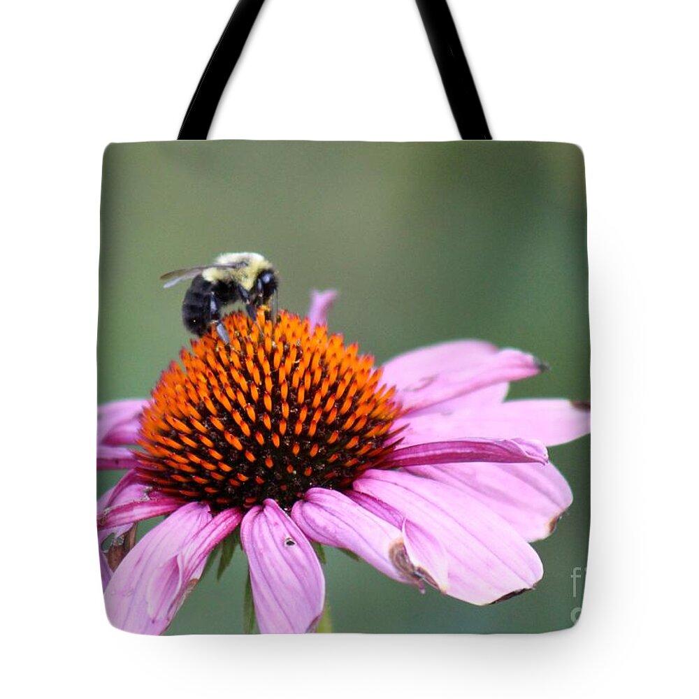 Pink Tote Bag featuring the photograph Nature's Beauty 72 by Deena Withycombe