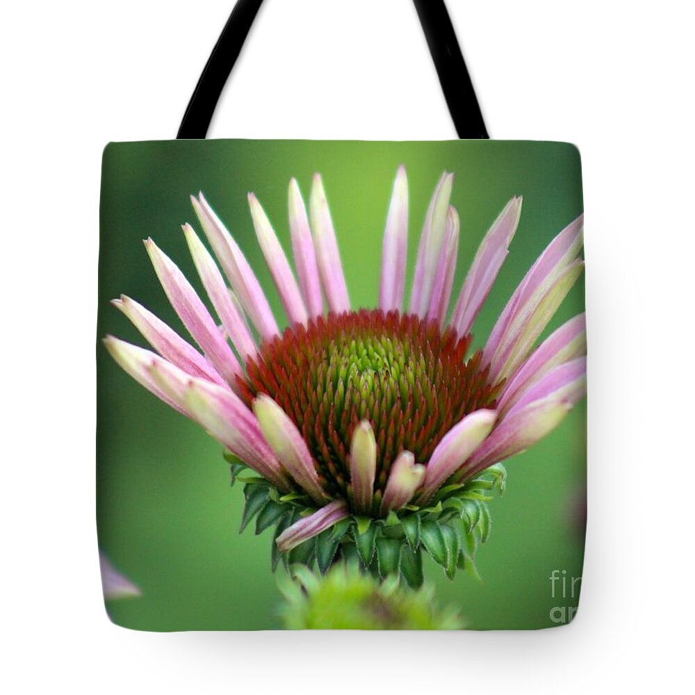 Pink Tote Bag featuring the photograph Nature's Beauty 75 by Deena Withycombe