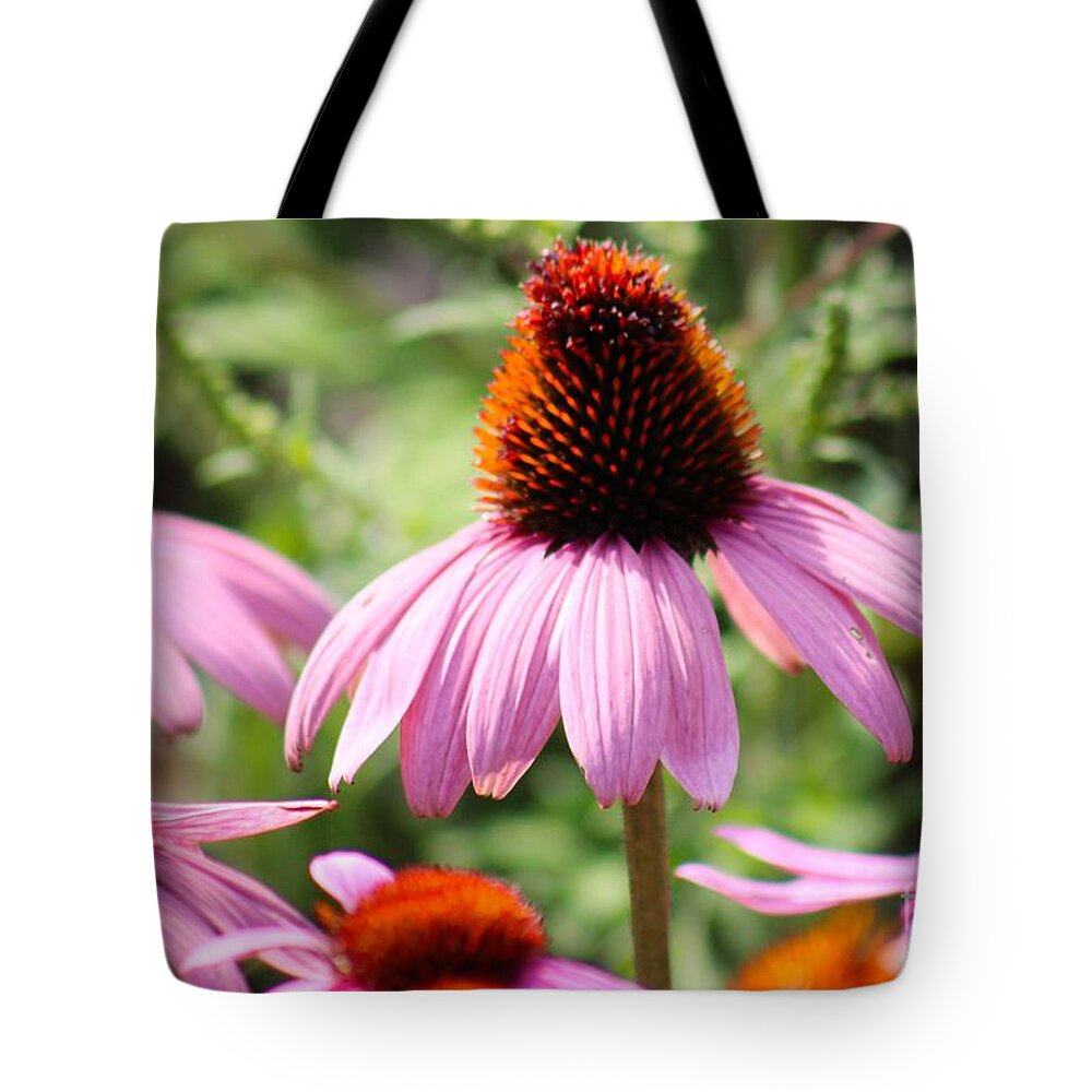 Pink Tote Bag featuring the photograph Nature's Beauty 98 by Deena Withycombe