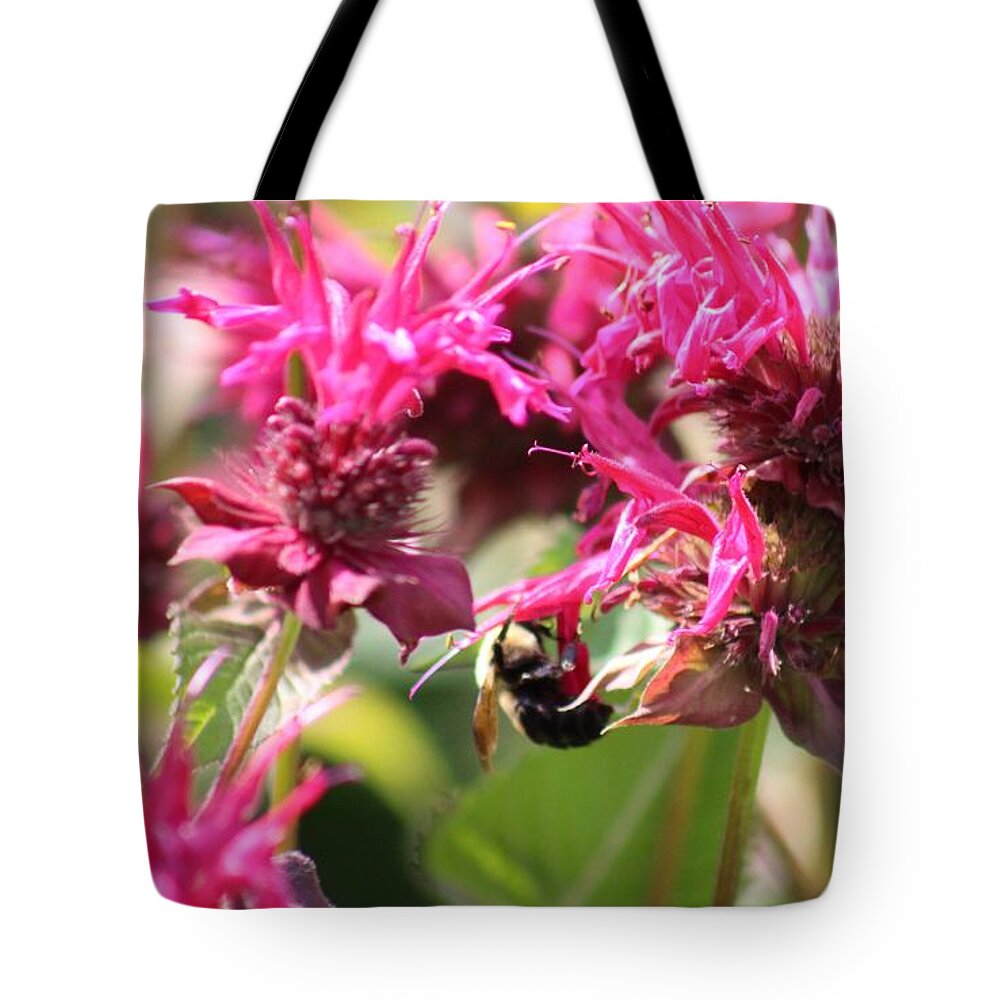 Pink Tote Bag featuring the photograph Nature's Beauty 99 by Deena Withycombe