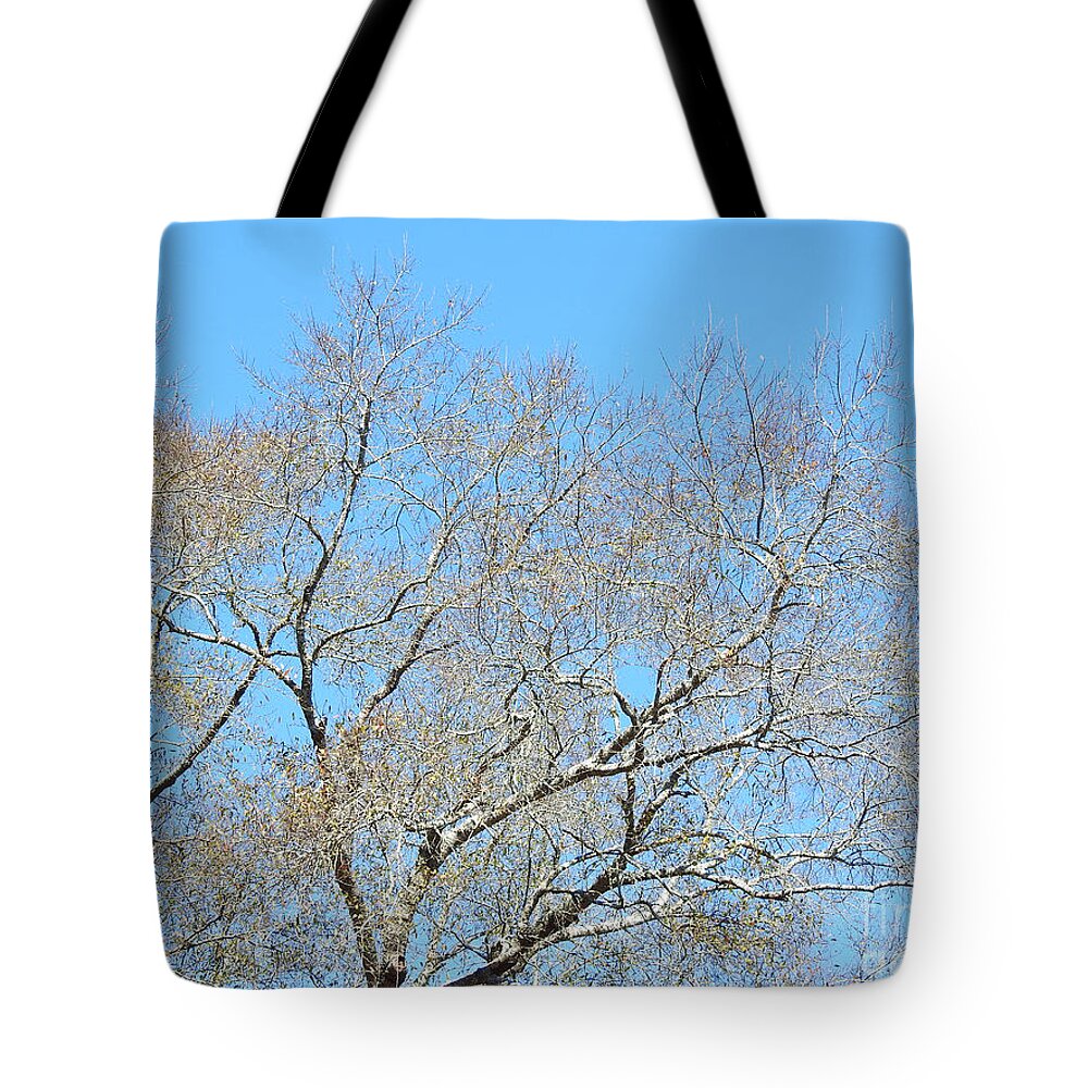 Delicacy Tote Bag featuring the photograph Nature's Delicacies by Jan Gelders