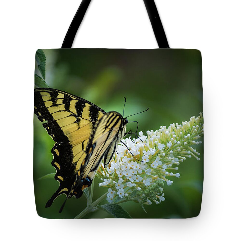 Insects Tote Bag featuring the photograph Natures Flight by Stewart Helberg