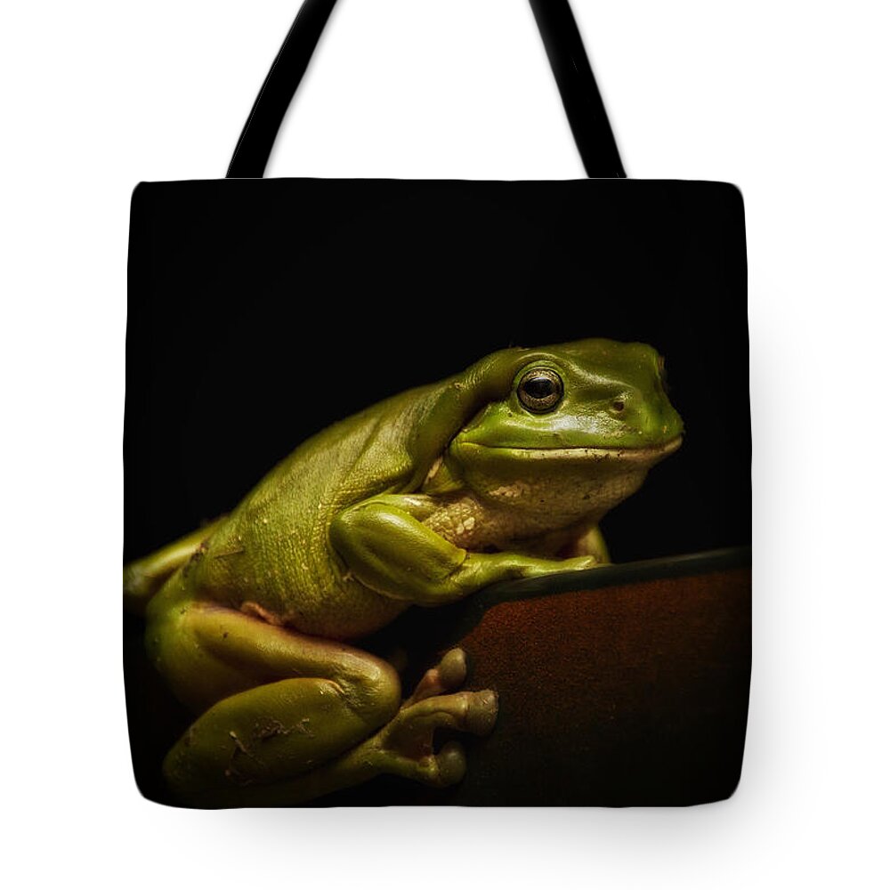 Nature Photography Tote Bag featuring the photograph Natures green 01 by Kevin Chippindall