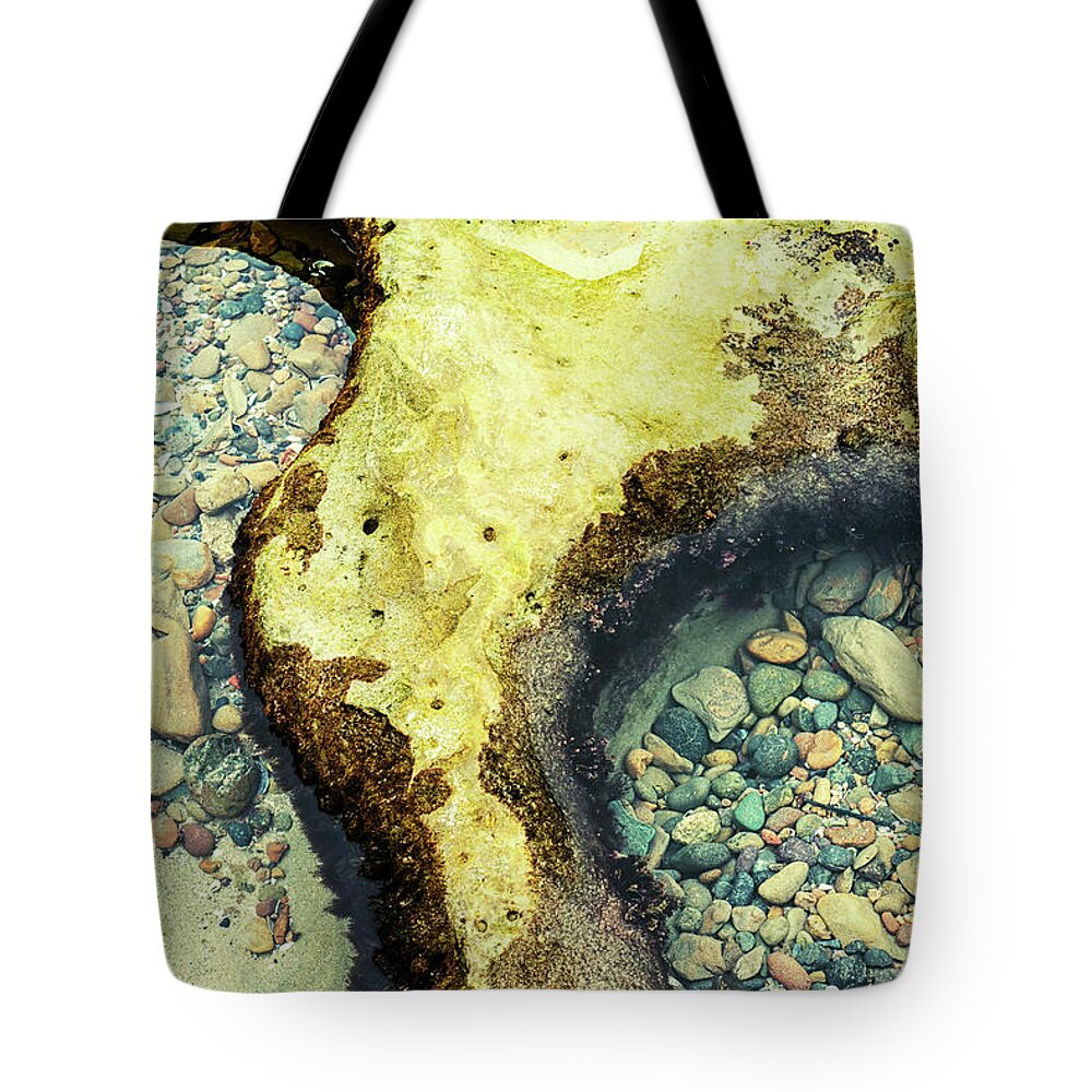 Reef Tote Bag featuring the photograph Nature's Jewels #2 by Joseph S Giacalone