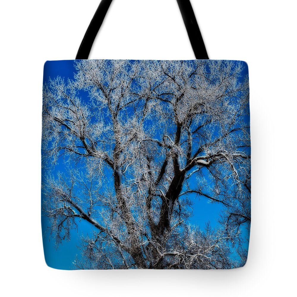 Standing Bear Lake Tote Bag featuring the photograph Natures Lace by Ed Peterson