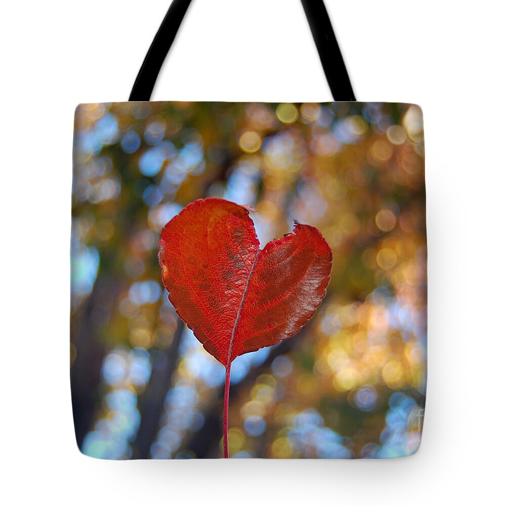 Heart Tote Bag featuring the photograph Nature's Love by Debra Thompson