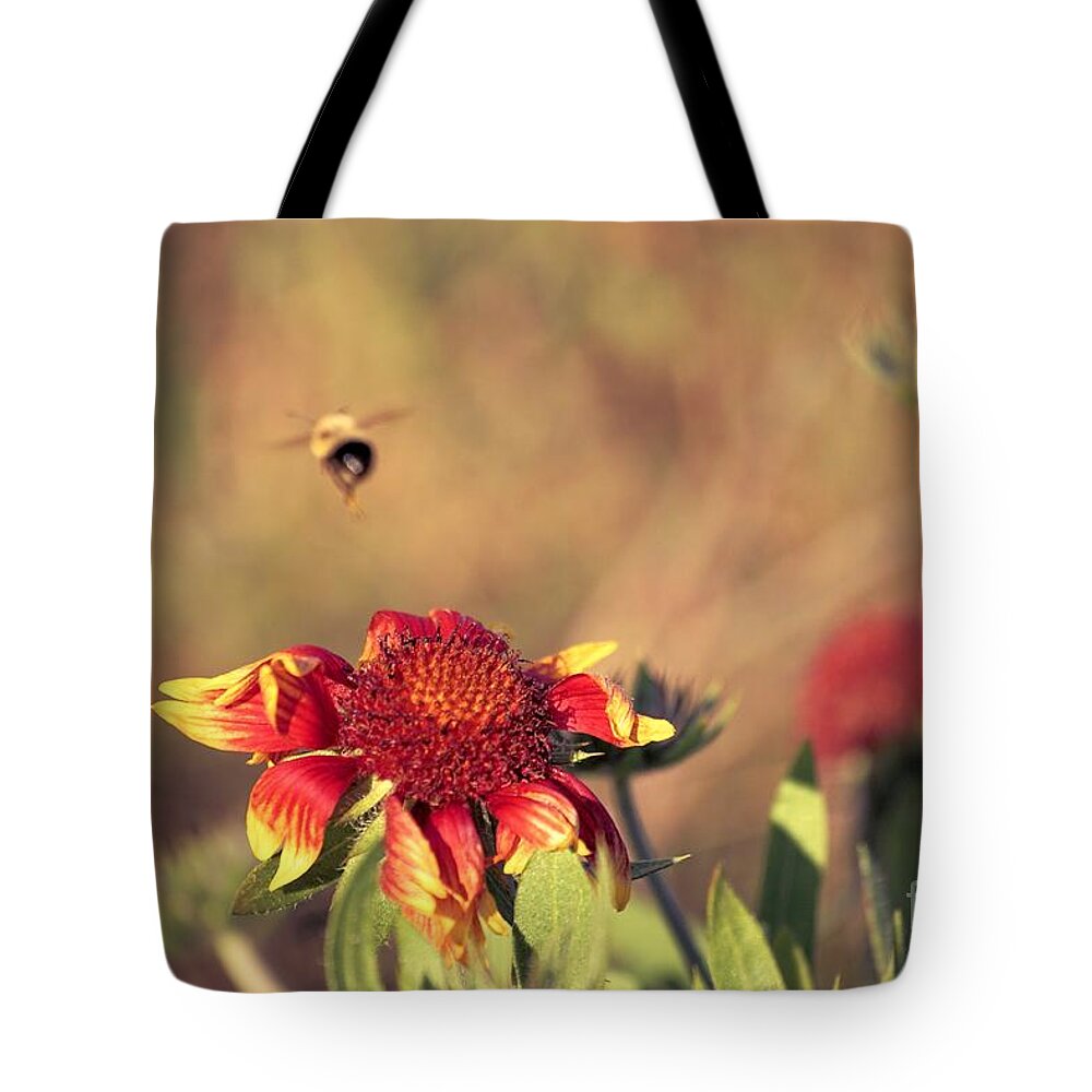 Nature Tote Bag featuring the photograph Nature's October Fest 03 by Aimelle Ml