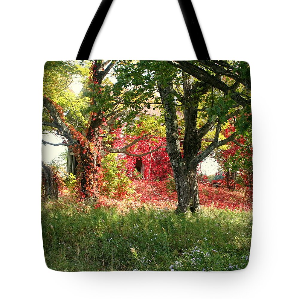Abandoned Farmhouse Tote Bag featuring the photograph Natures paintbrush by Sue Long