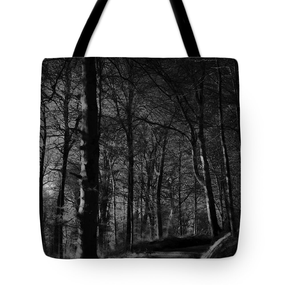 Destination Tote Bag featuring the photograph Nature's Path by Miguel Winterpacht