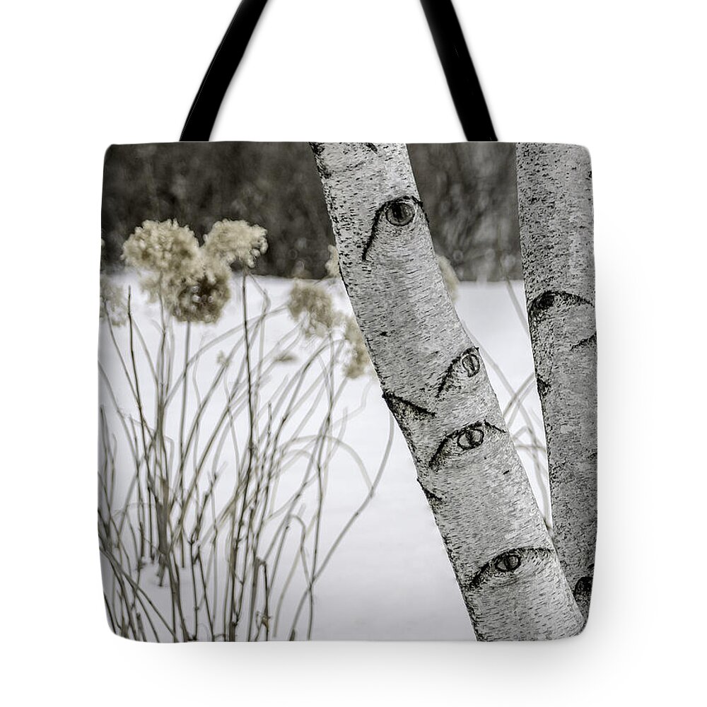 Winter Tote Bag featuring the photograph Natures Watchful Eyes by Julie Palencia