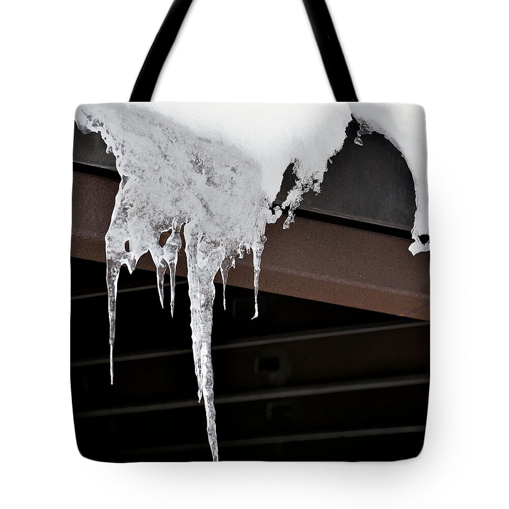 Nature Tote Bag featuring the photograph Nature's Winter Abstract #4 by Kae Cheatham