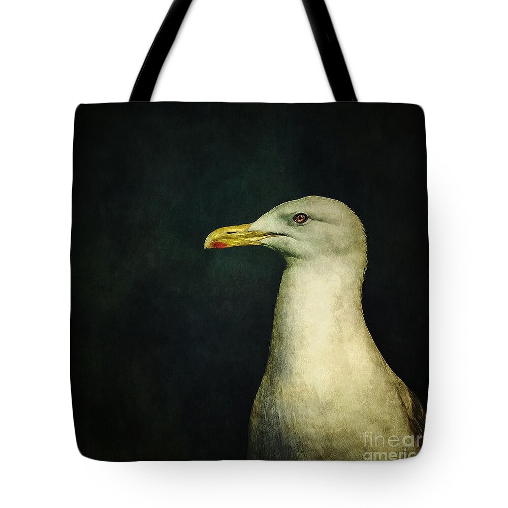 Seagull Tote Bag featuring the photograph Naujaq by Priska Wettstein