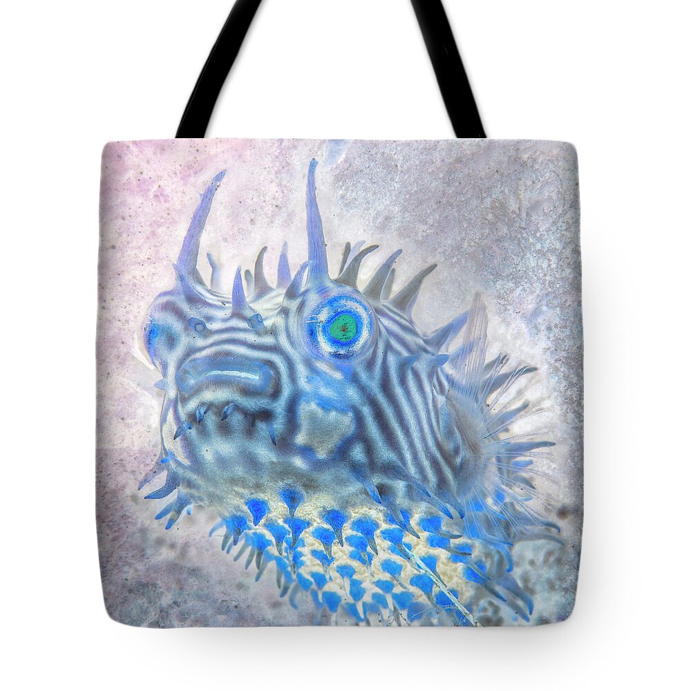 Florida Tote Bag featuring the photograph Nautical Beach and Fish #12 by Debra and Dave Vanderlaan