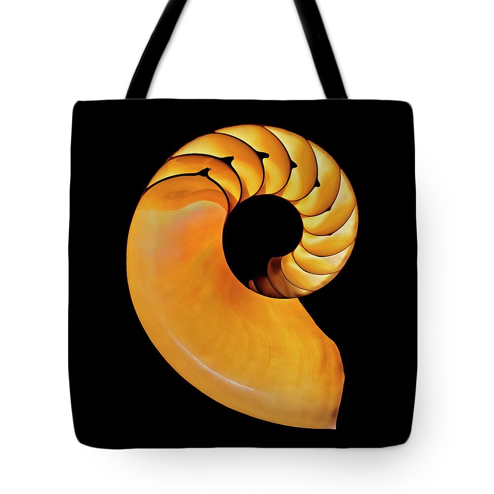 Nautilus Tote Bag featuring the photograph Nautilus by Wes and Dotty Weber