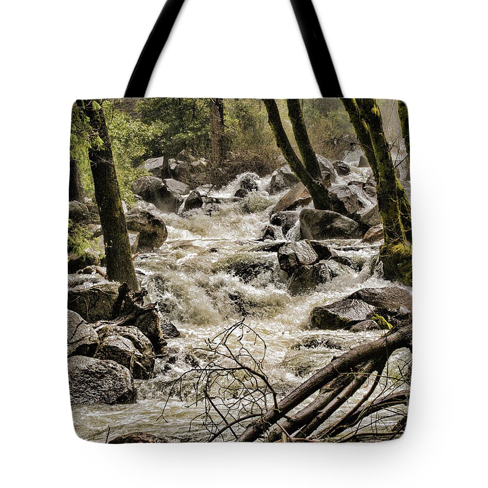 Yosemite Tote Bag featuring the photograph Nauture z by Chuck Kuhn