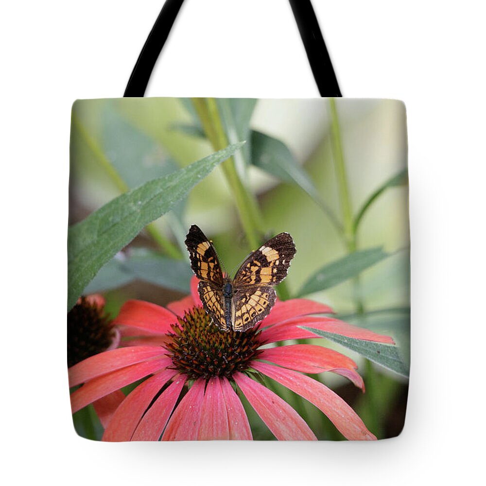 Butterfly Tote Bag featuring the photograph NC Arboretum butterflies 3 by Matt Sexton