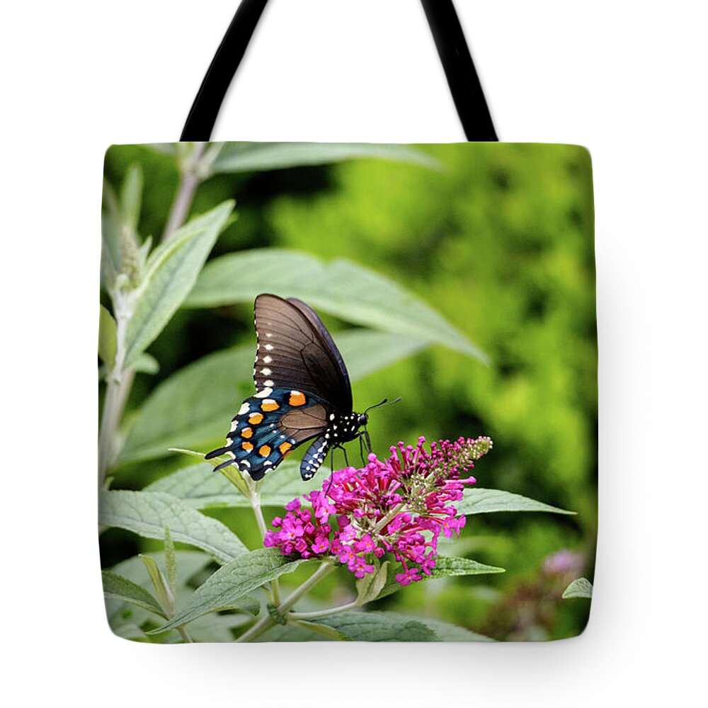 Butterfly Tote Bag featuring the photograph NC Arboretum butterflies 4 by Matt Sexton