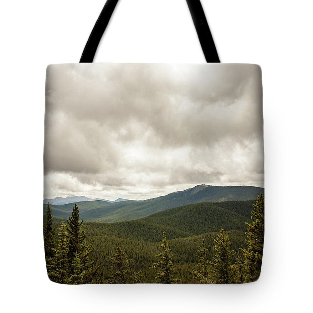  Tote Bag featuring the photograph Near Monarch Pass At The Continental Divide by Carl Wilkerson
