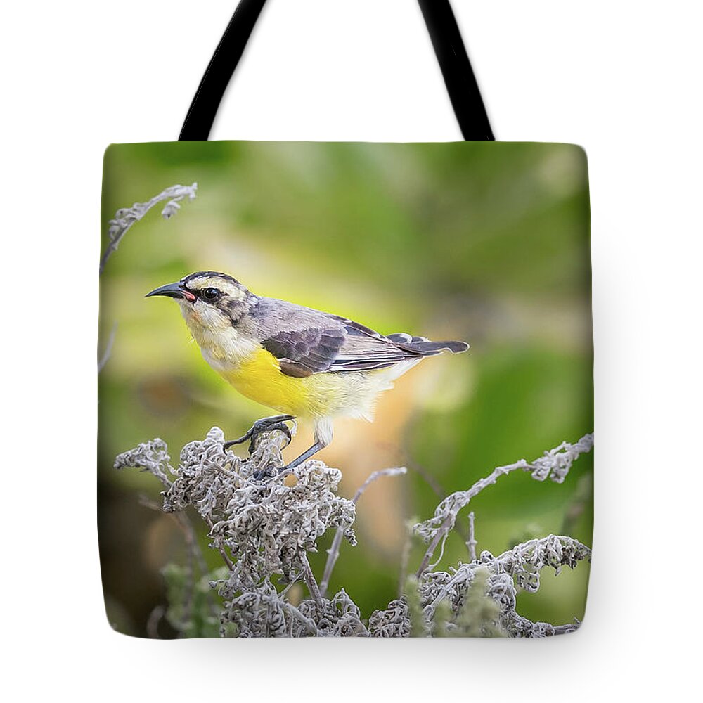 Bananque Tote Bag featuring the photograph Near the beach... by Ian Sempowski