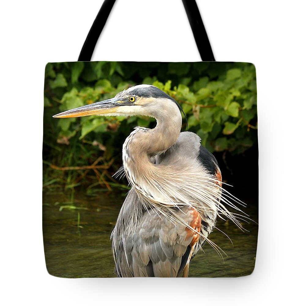 Bird Tote Bag featuring the photograph Thought you had my back by Heather King