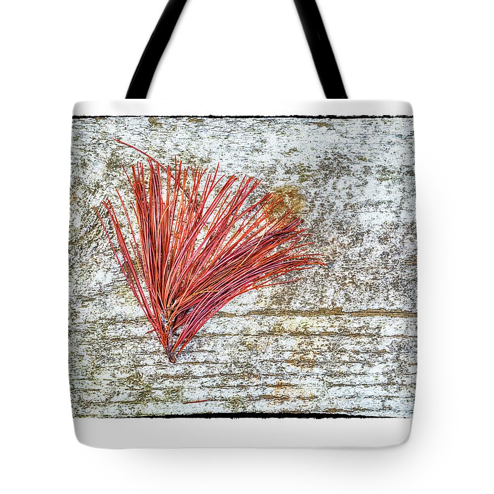 Pine Needles Tote Bag featuring the photograph Needles by R Thomas Berner