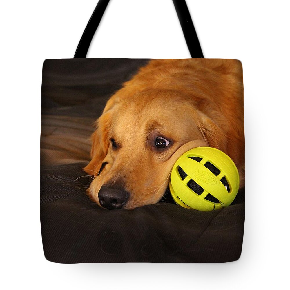 Dog Pet Animals Tote Bag featuring the photograph Nerf Dog by Kristie Cyrus
