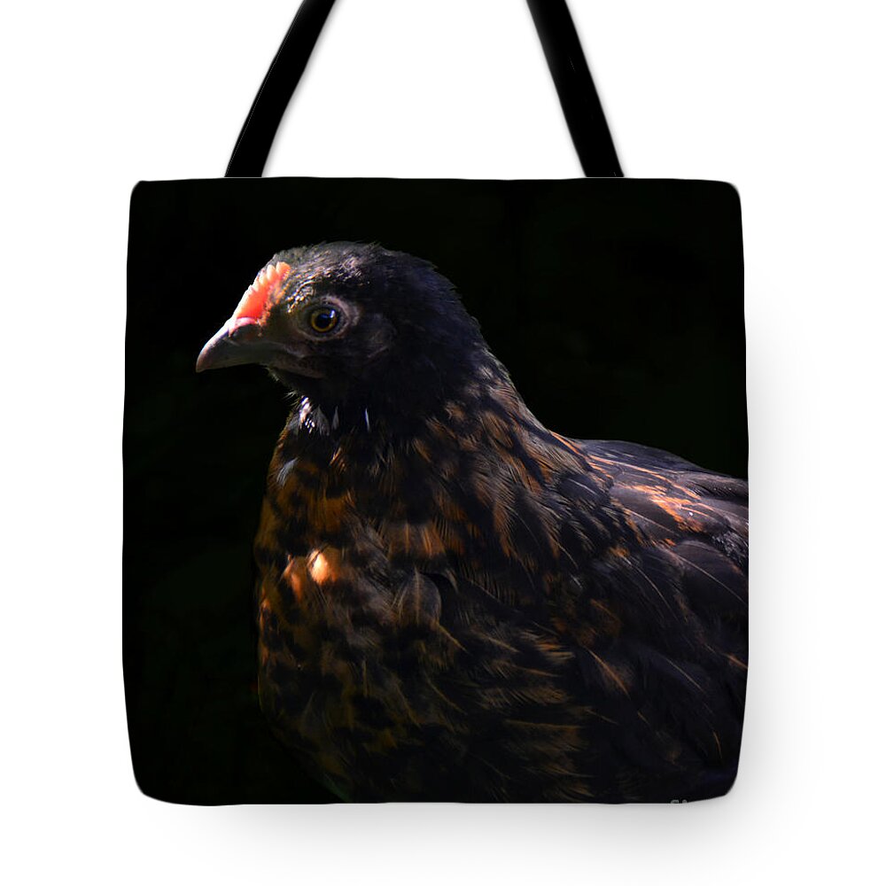 Photography By Paul Davenport Tote Bag featuring the photograph Nervous Little Critter by Paul Davenport