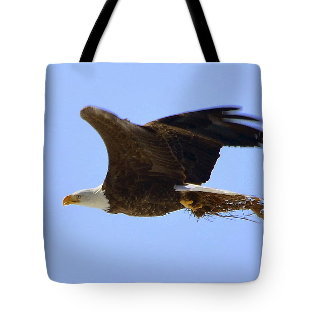 Bird Tote Bag featuring the photograph Nesting Eagle by Harry Moulton