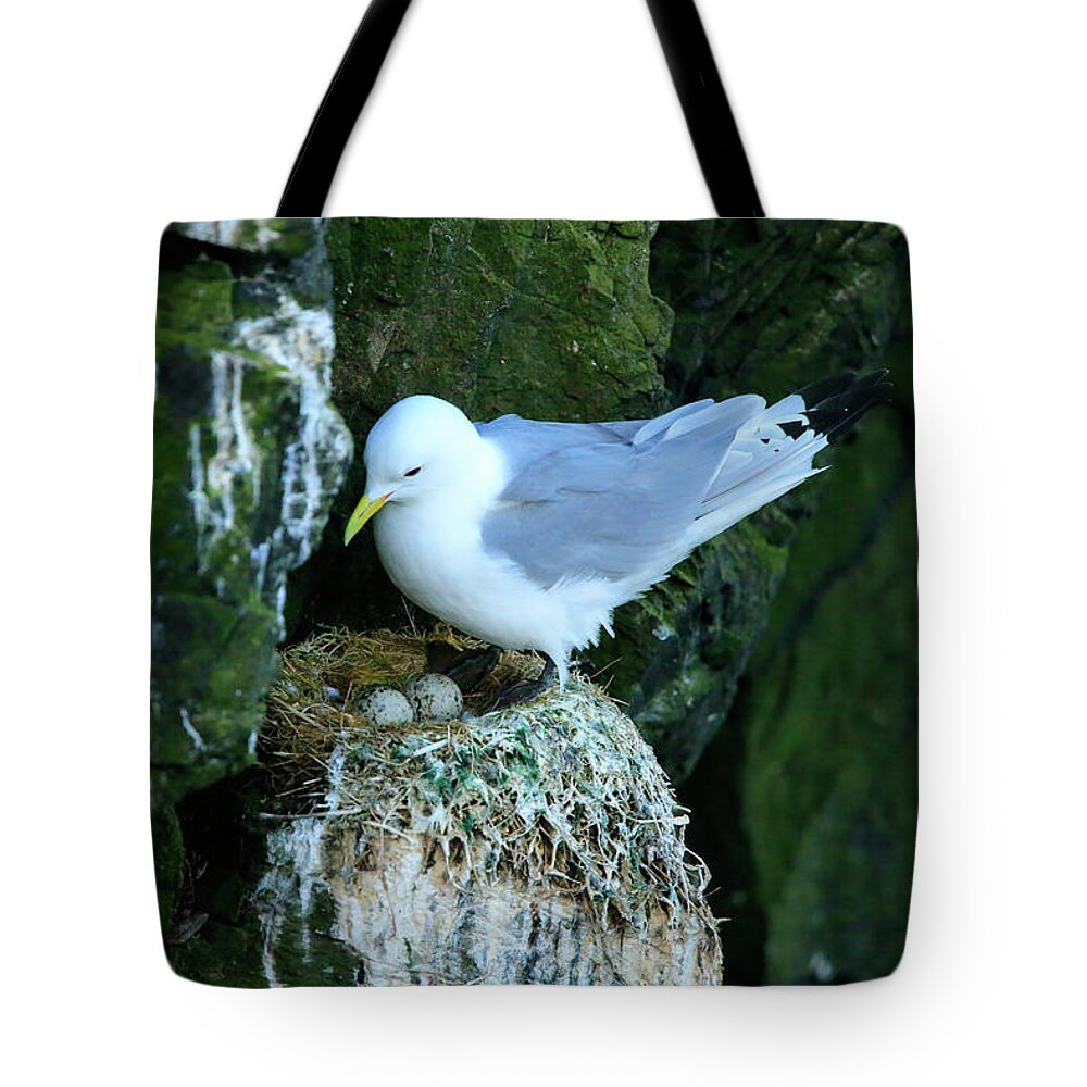 Birds Tote Bag featuring the photograph Nesting by Leigh Lofgren