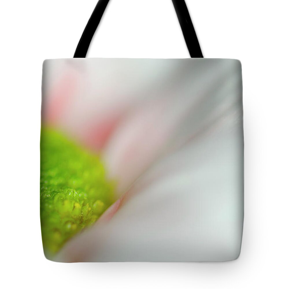 Close Up Tote Bag featuring the photograph Nestle by Sandra Parlow