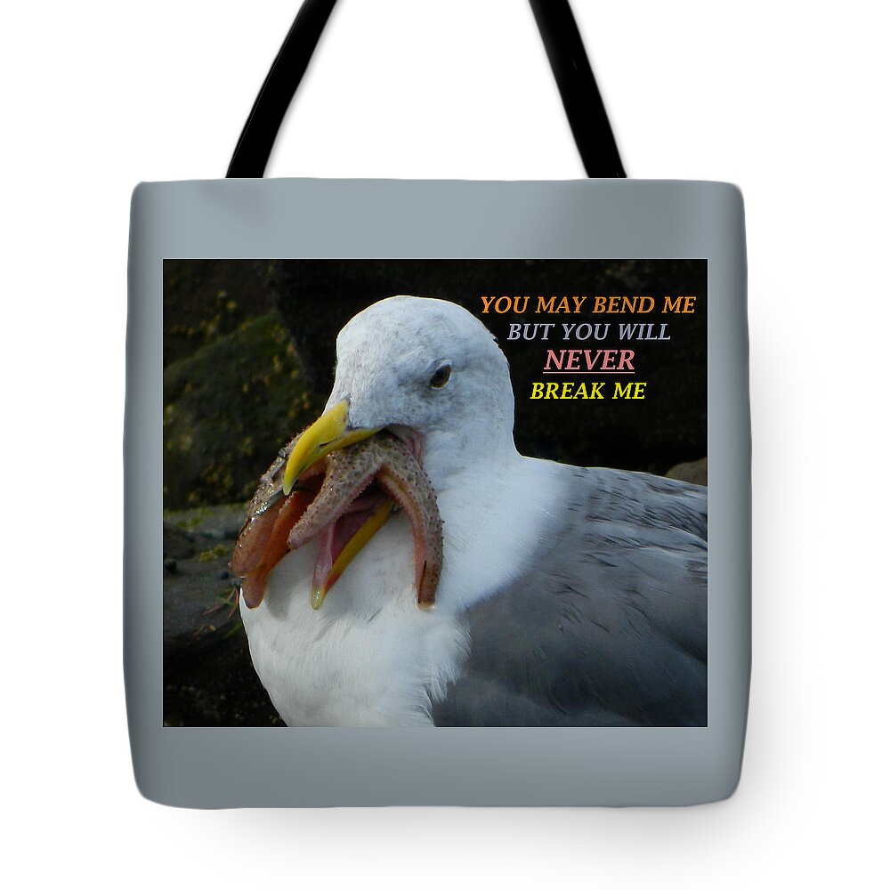 Seagulls Tote Bag featuring the photograph Never Break Me by Gallery Of Hope 