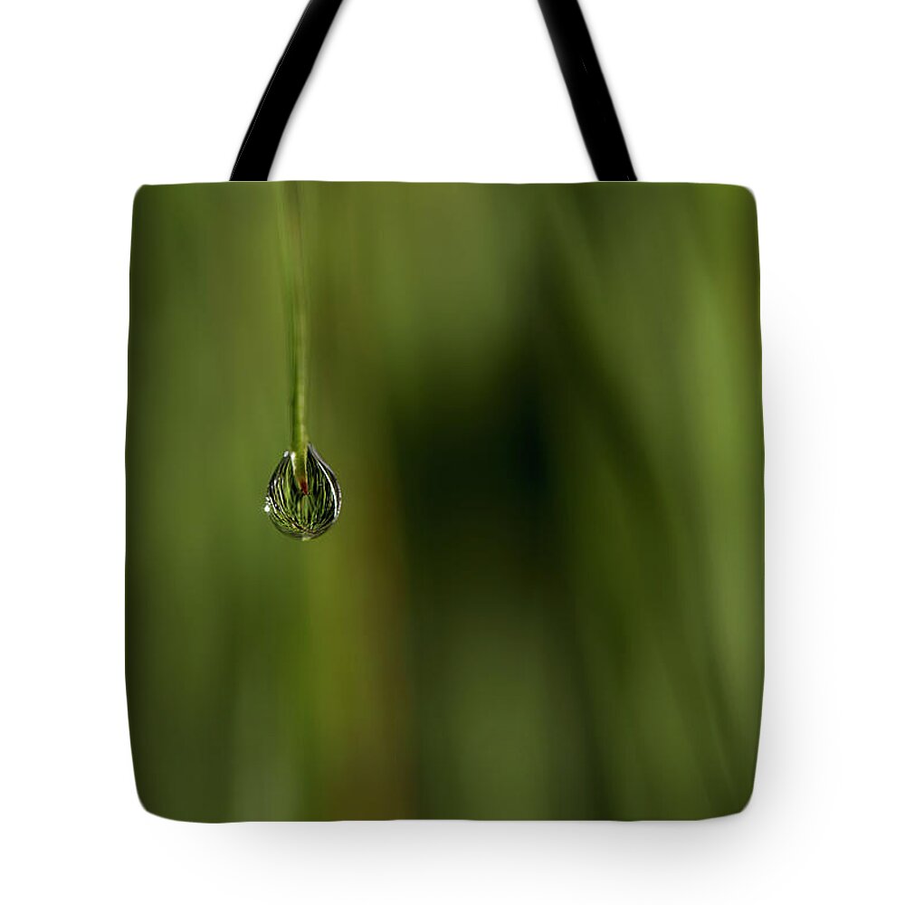 Water Drop Tote Bag featuring the photograph Never Let Go by Mike Eingle