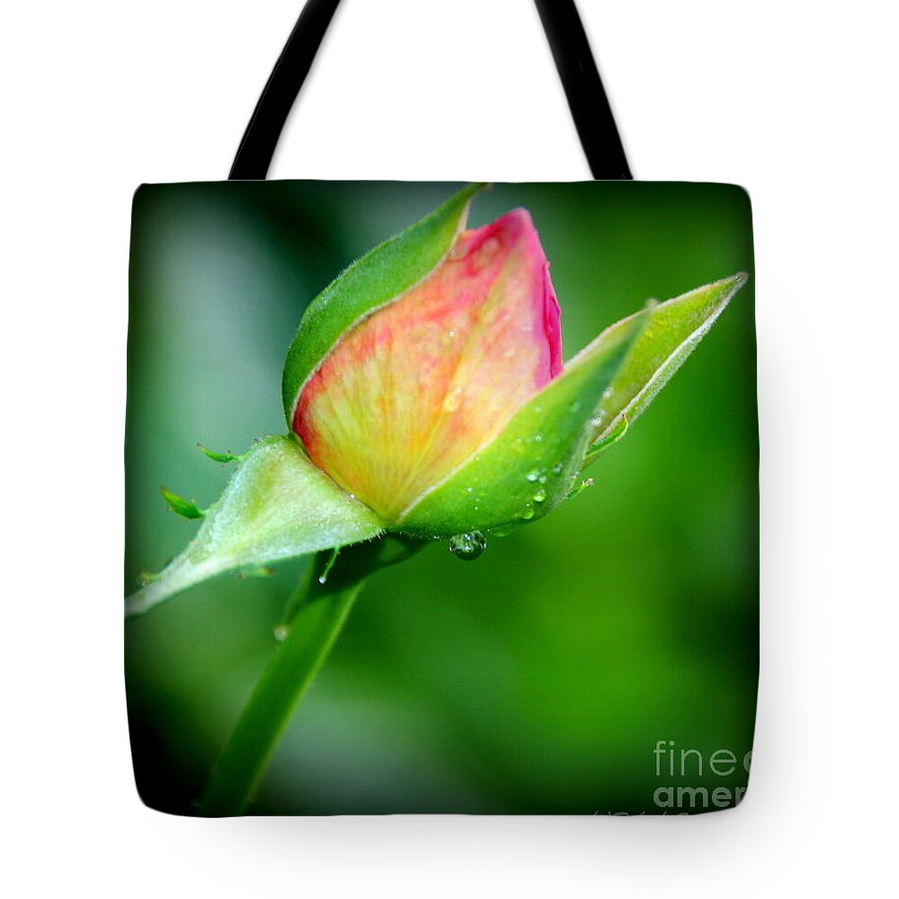 Flowers Tote Bag featuring the photograph New Beginning by Rabiah Seminole