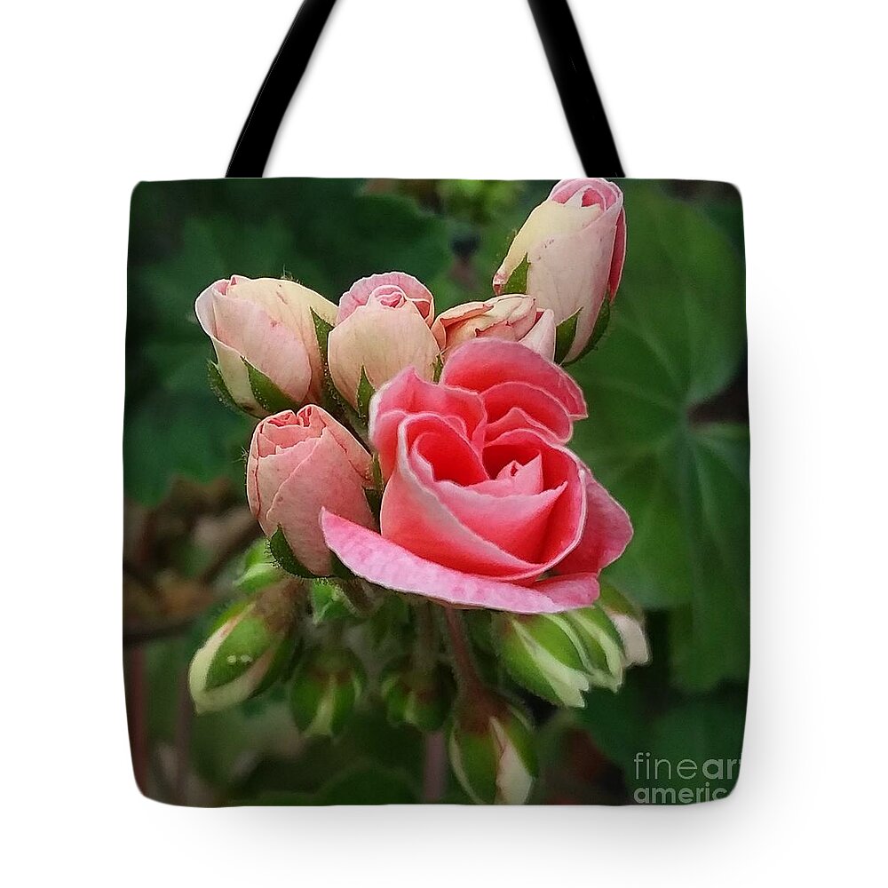 Flowers Tote Bag featuring the photograph New Beginnings by Dani McEvoy