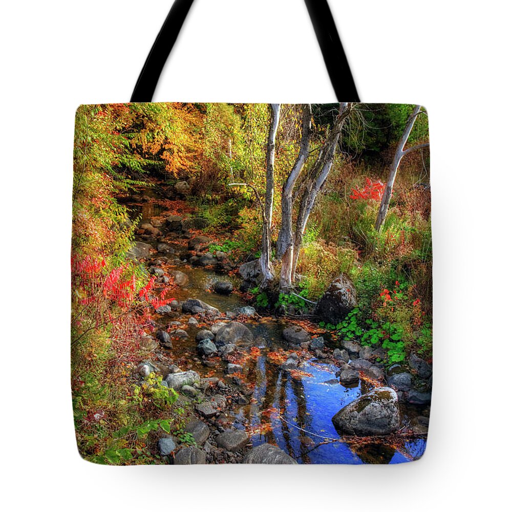 New England Fall Foliage Tote Bag featuring the photograph New England Fall Foliage Art by Joann Vitali