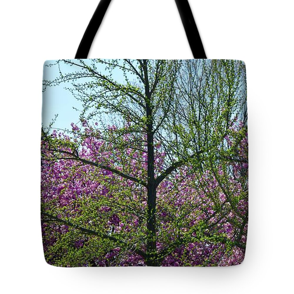Barrieloustark Tote Bag featuring the photograph New Growth by Barrie Stark