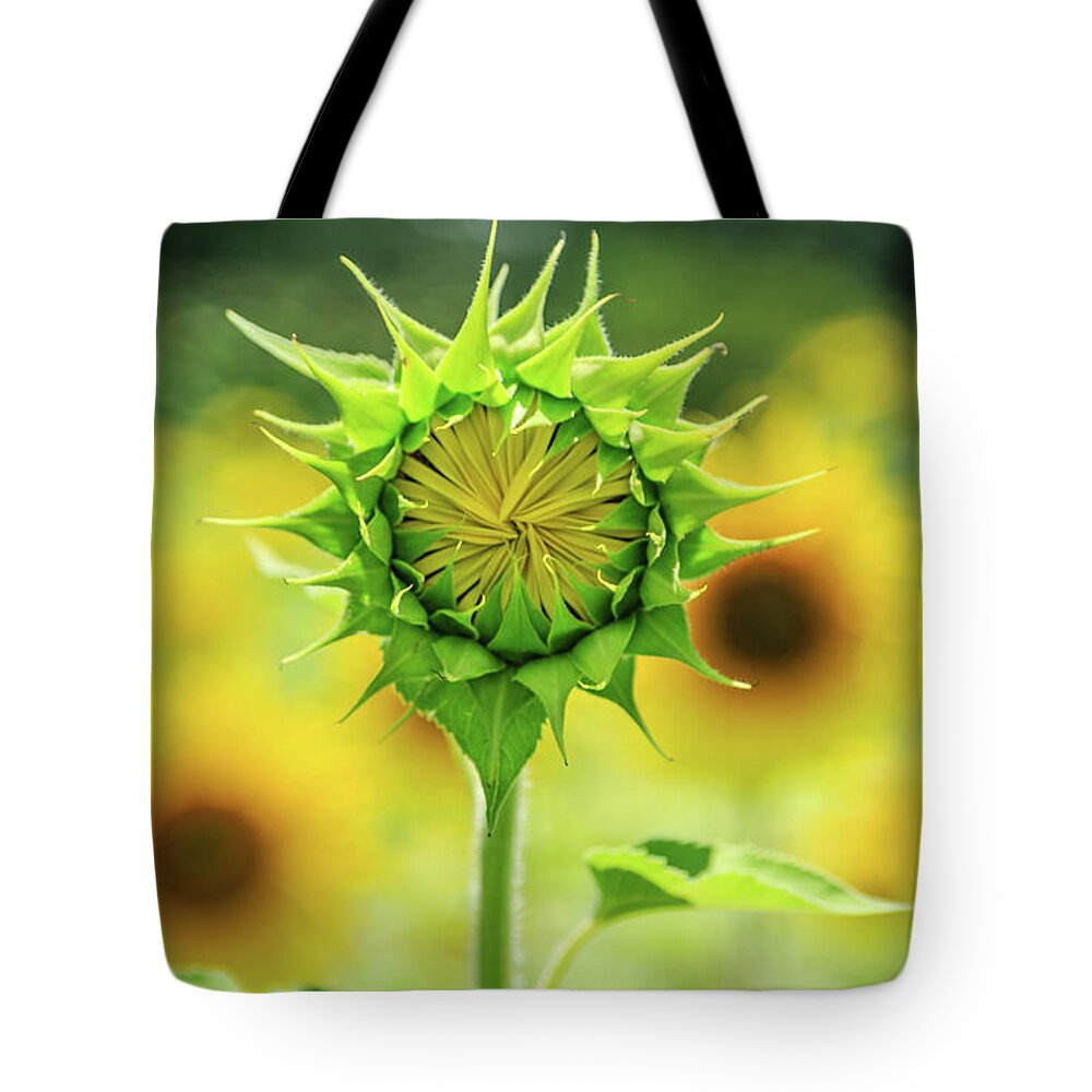 Agriculture Tote Bag featuring the photograph New Growth by Darryl Brooks