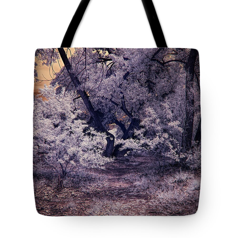 New Mexico Tote Bag featuring the photograph New Growth in the Bosque by Michael McKenney